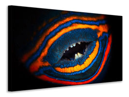 canvas-print-orange-lined-triggerfish