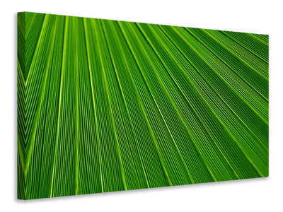 canvas-print-palm-stripe-i