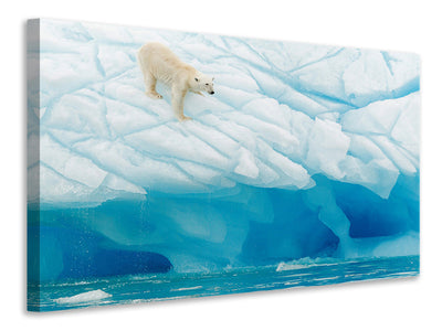 canvas-print-polar-bear