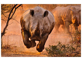 canvas-print-rhino-learning-to-fly-x