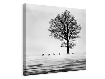 canvas-print-roes-x