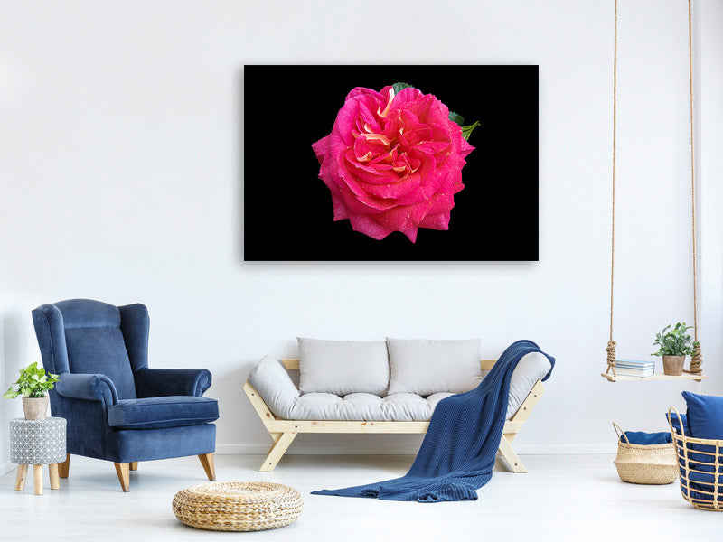 canvas-print-rose-in-red-xxl