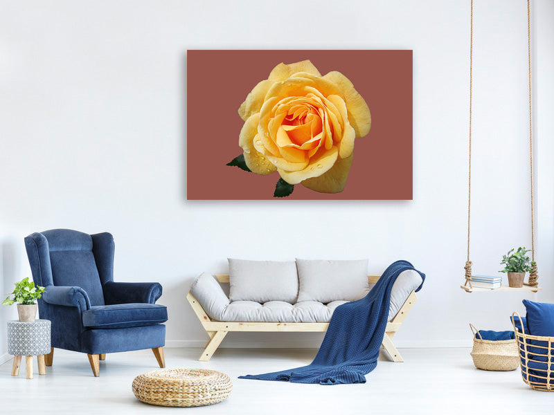 canvas-print-rose-in-yellow-xxl