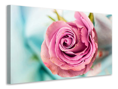 canvas-print-roseblossom-in-pink