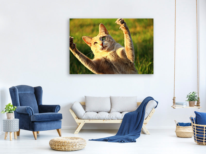 canvas-print-show-the-claws