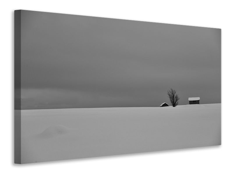 canvas-print-snow-fields