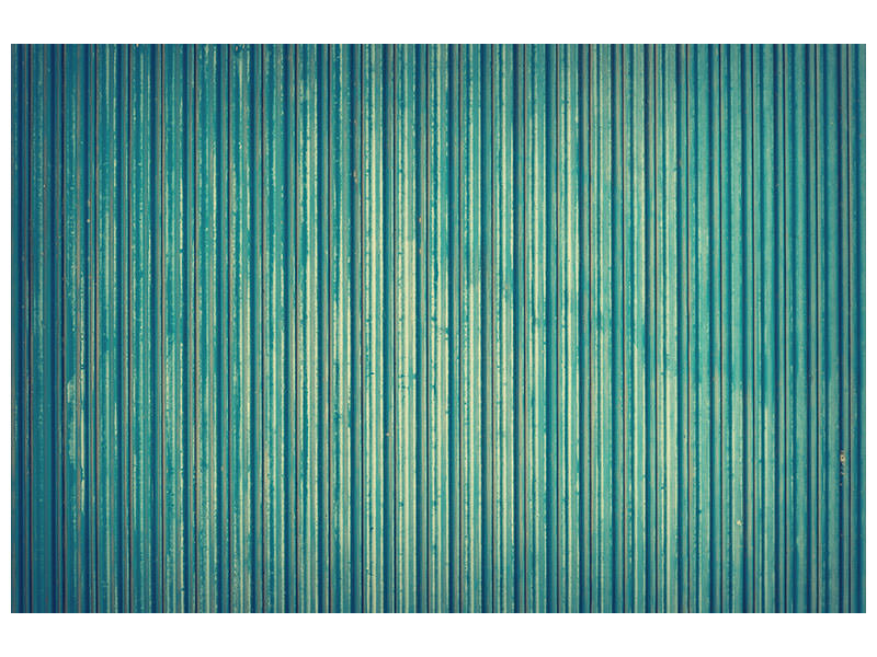 canvas-print-strip-of-nature