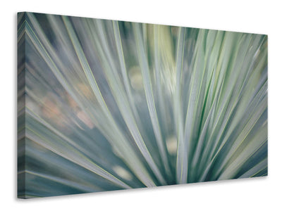 canvas-print-strip-of-plant