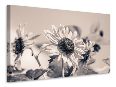 canvas-print-sunflowers-sw
