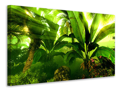 canvas-print-sunrise-in-the-rainforest