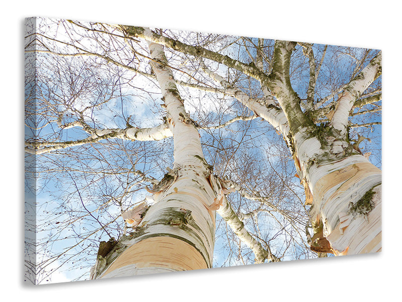 canvas-print-the-2-birches
