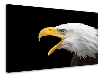 canvas-print-the-bald-eagle