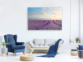 canvas-print-the-blooming-lavender-field