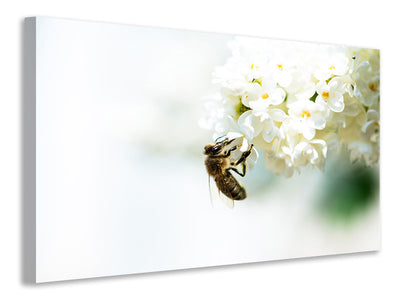 canvas-print-the-bumblebee-and-the-flower