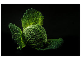 canvas-print-the-cabbage