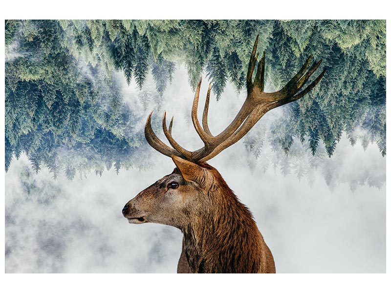 canvas-print-the-deer-and-the-woods-x