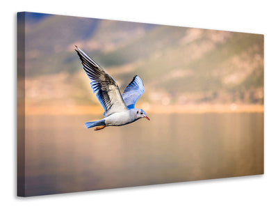 canvas-print-the-flying-seagull