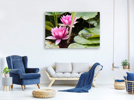 canvas-print-the-frog-in-the-protection-of-water-lilies