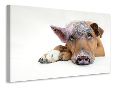 canvas-print-the-funny-pig-dog