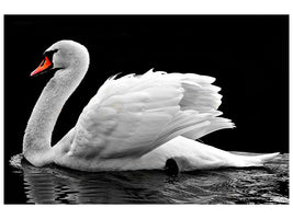 canvas-print-the-graceful-swan