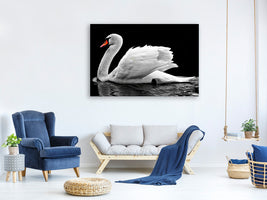 canvas-print-the-graceful-swan