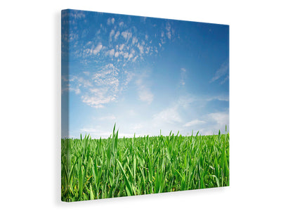 canvas-print-the-grass