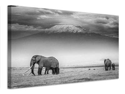 canvas-print-the-land-of-giants-x