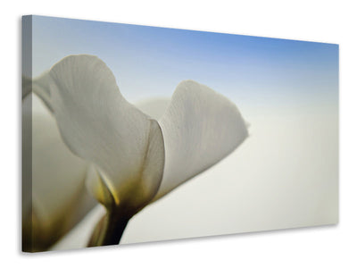canvas-print-the-leaf-of-a-lily-blossom