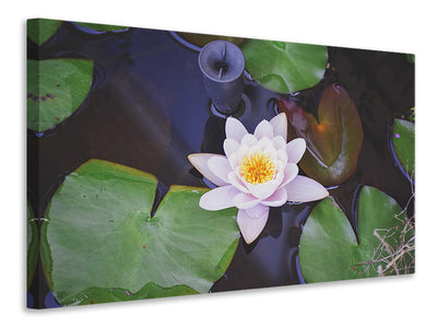 canvas-print-the-lily-pad-in-white