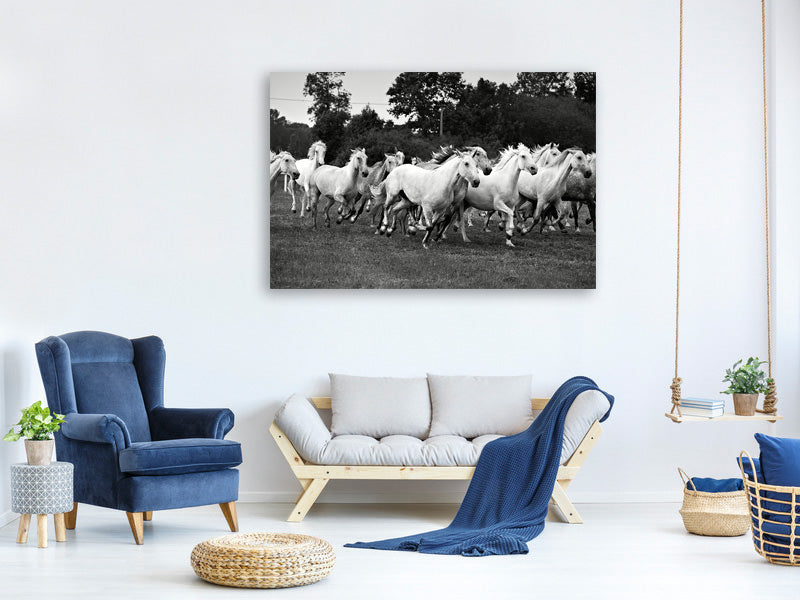 canvas-print-the-mustang-herd