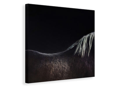 canvas-print-the-naked-horse