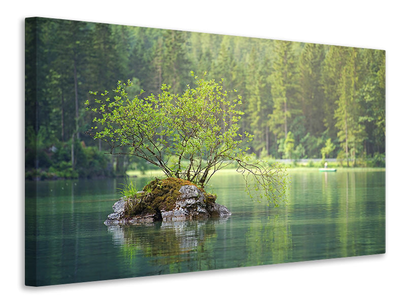 canvas-print-the-pond-in-the-forest