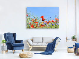 canvas-print-the-poppy-in-the-flower-meadow