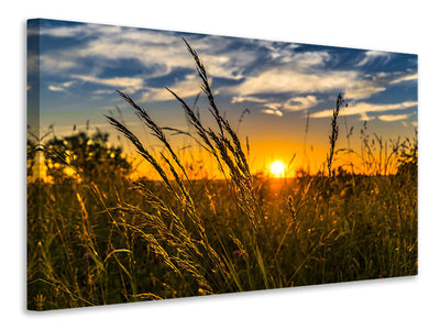 canvas-print-the-sunset-on-the-field