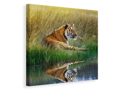 canvas-print-the-tiger