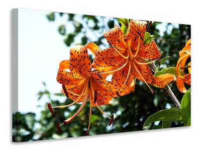 canvas-print-the-wild-tiger-lilies
