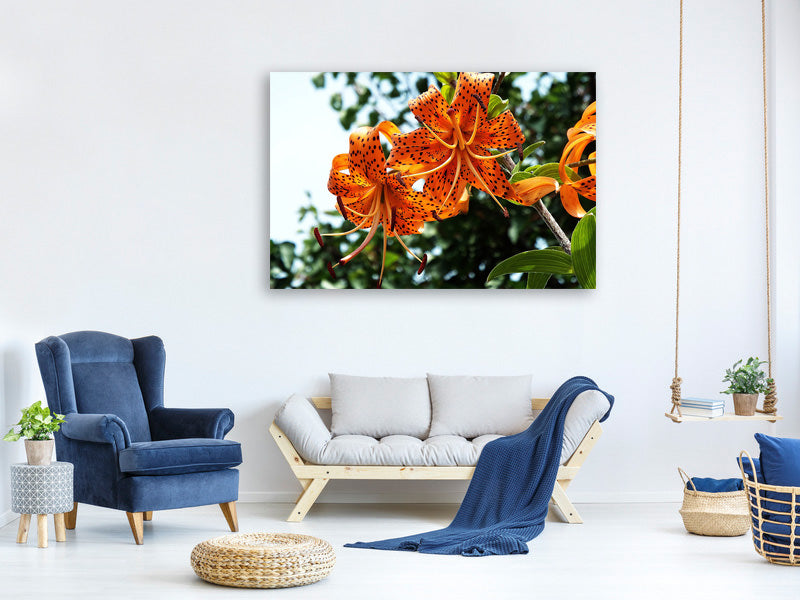 canvas-print-the-wild-tiger-lilies