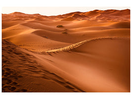 canvas-print-traces-in-the-desert