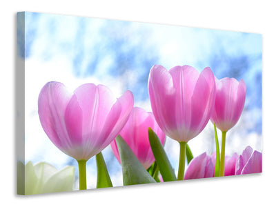 canvas-print-tulips-in-nature