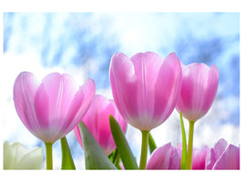 canvas-print-tulips-in-nature