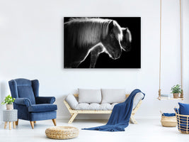 canvas-print-two-beautiful-horses