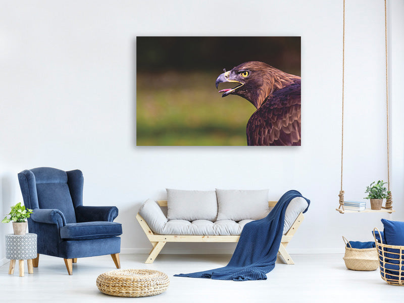 canvas-print-watchful-eagle