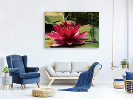 canvas-print-water-lily-in-red