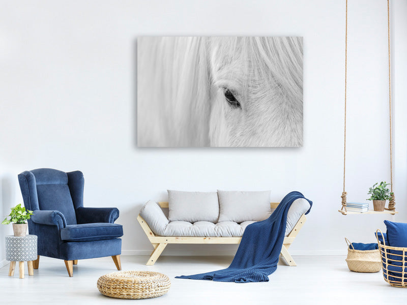 canvas-print-whisper-of-iceland