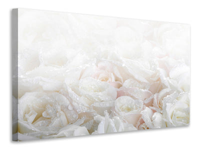 canvas-print-white-roses-in-the-morning-dew