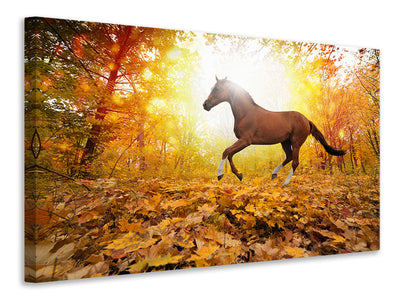canvas-print-whole-blood-in-autumn-forest