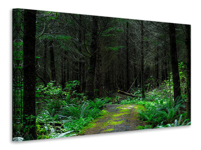 canvas-print-wild-forest