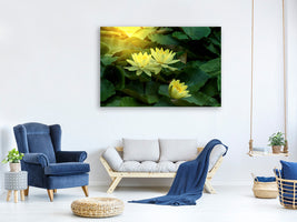 canvas-print-wild-lotus