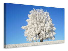 canvas-print-winter-tree