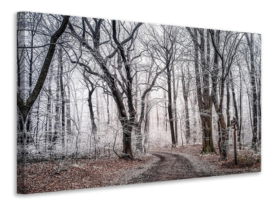 canvas-print-wintry-forest